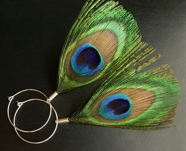 Pawie pióra Stella