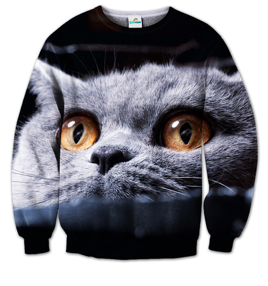 Bluza Oczy Kota Atora kidsmob