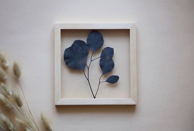 Żywy obraz Eucalyptus Populus S Plantsonwall
