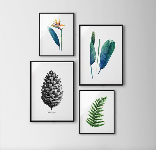 Plakat Natura set III WISIMITU
