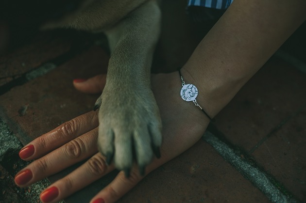 Srebrna bransoletka na czarnym sznurku buldog  Petarda Design