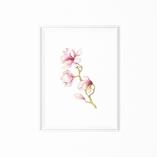 Plakat skandynawski botaniczny Magnolia myscandi
