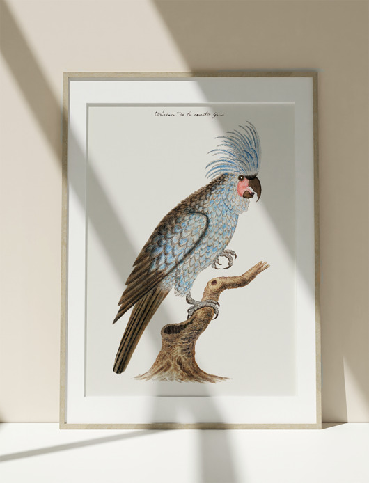 plakaty Plakat Vintage Obraz Grafika Parrot