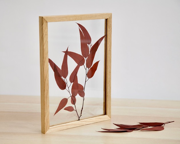 dodatki - różne Liście Eucalyptus Willow rozmiar M