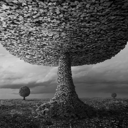 Sfera drzew KLIMAT