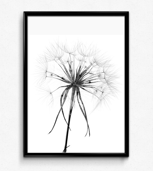 DMUCHAWIEC OBRAZEK, PLAKAT, DEKORACJA 40X50cm Dekoracjan