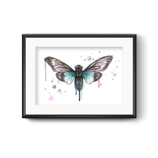 grafiki i ilustracje Cykada, 21x30cm, A4