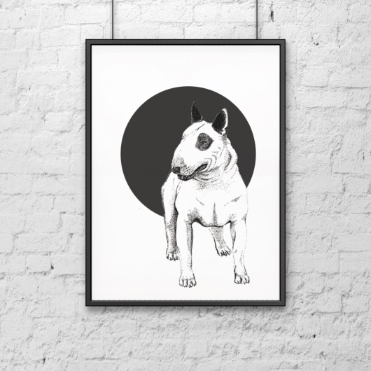 Bullterrier DWUKROOPEK