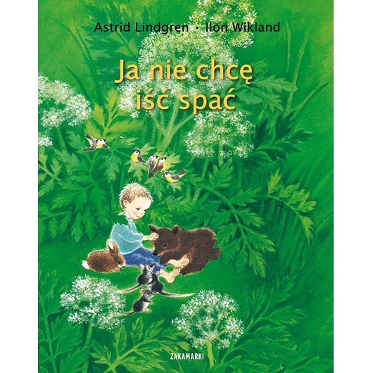 Ja Nie Chcę Iść Pod Wiatr Tekst Ja nie chcę iść spać - Pakamera.pl
