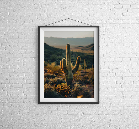 plakaty Plakat -Arizona dream
