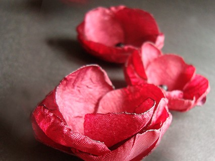 GARŚĆ MALIN SundayRose