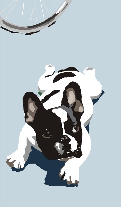 dog francuski Project 8