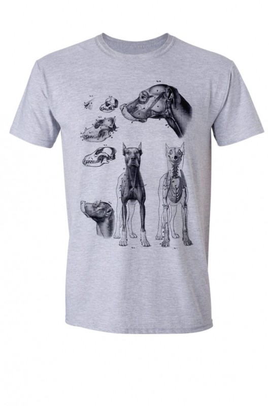 DOG - Koszulka Męska SZARA T-shirt GAU great as You