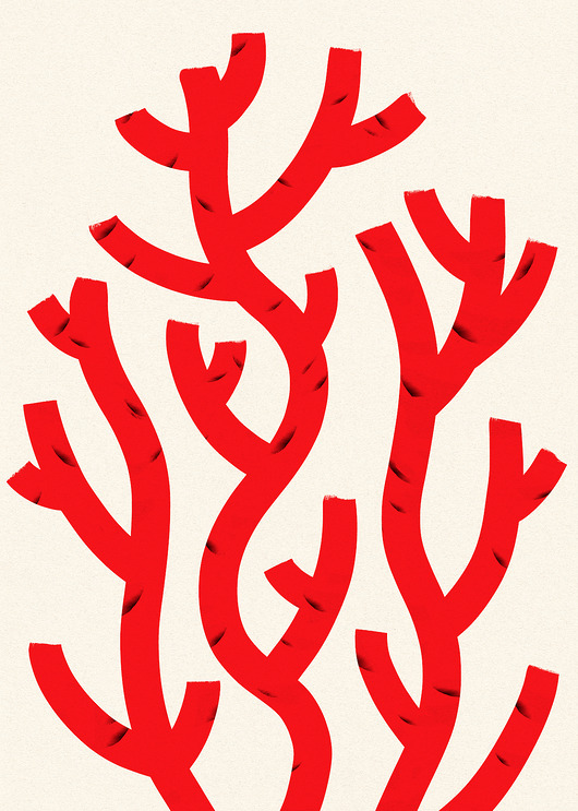 plakaty Plakat Plant I