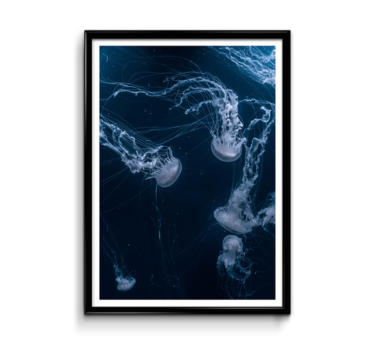 Plakat - Meduzy #2 Bury Lis