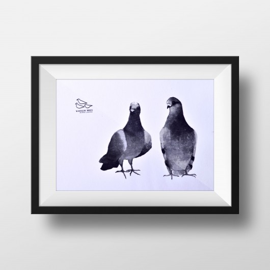 Gołębie. Serigrafia barwna Warsaw Birds