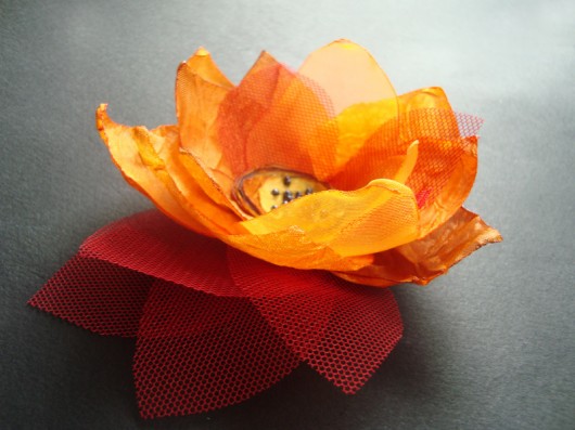 ASNER__SPINKA SundayRose