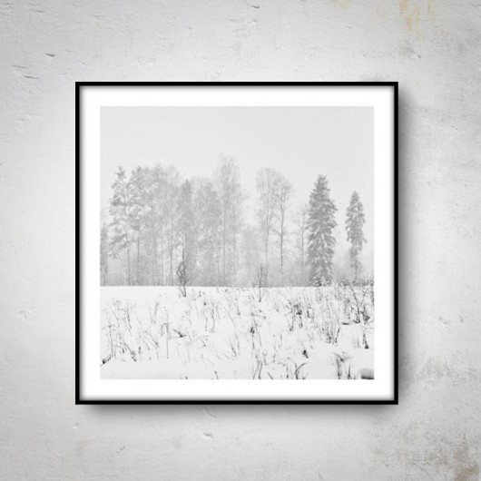 B&W IV  50x50 mucca by mua