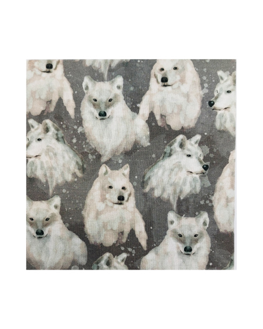 notatniki i albumy Album na zdjęcia White Wolf 20x20 80 stron