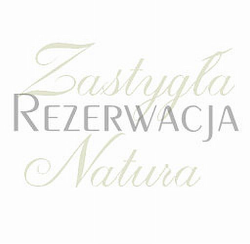 Zestaw wianków Zastygla Natura