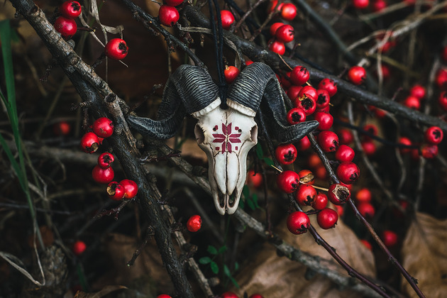 wisiory Wisior Czaszka Barana Etno