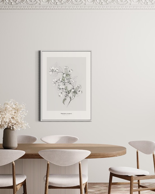 grafiki i ilustracje Jaśminowiec print