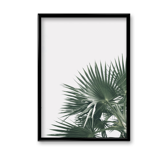 Plakat Botanic #2  Bury Lis