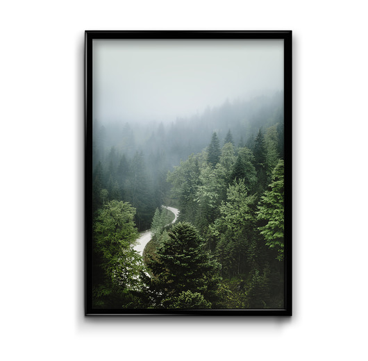 plakaty Plakat Droga przez Lasy
