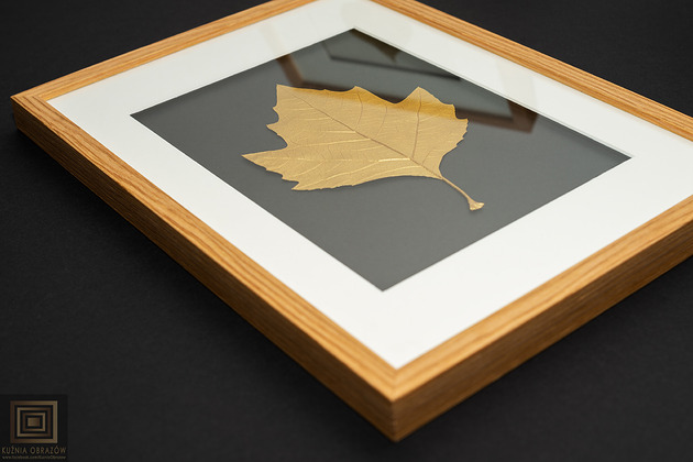Ozdoby na ścianę Złoty Liść Platan Klonolistny w Dębowej Ramie 20x30cm. Naturalny Obraz