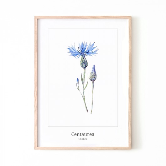 PLAKAT CHABRY P191 Yoko Design
