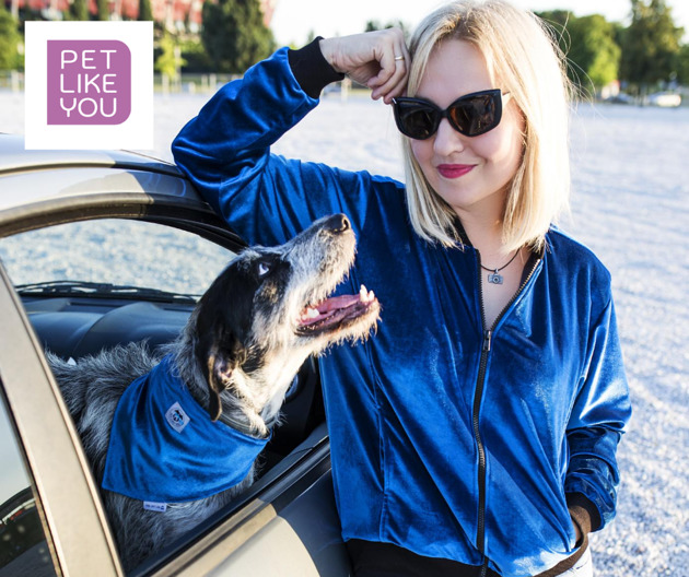 Bluza welurowa Niebo PET LIKE YOU