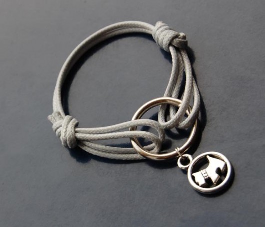 grey dog  szelart