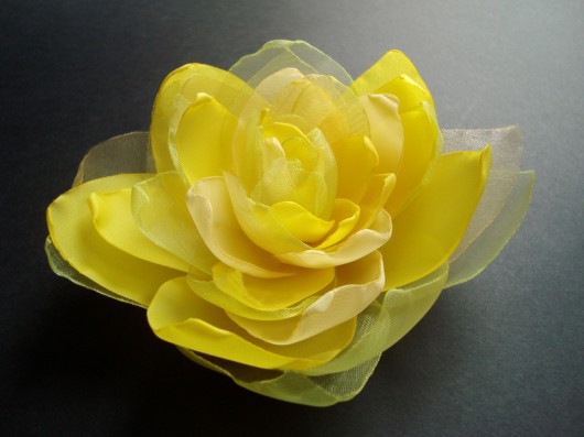 cytrynka SundayRose