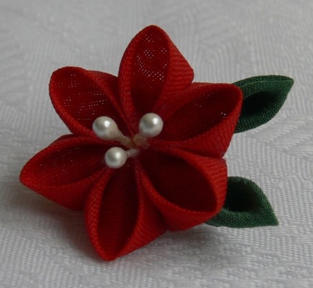Hibiskus Oiran