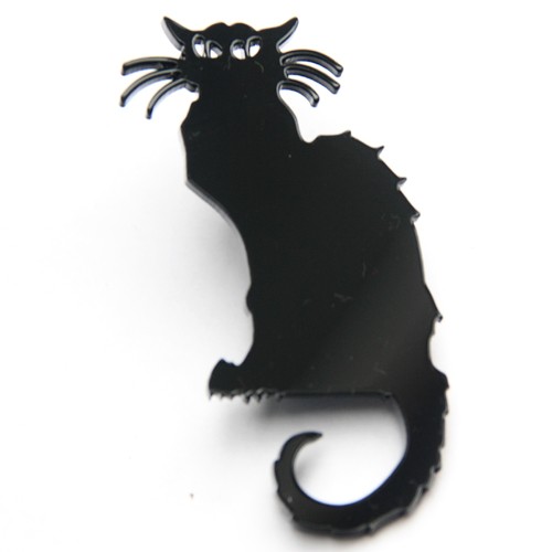 chat noir Magdalena Kopec