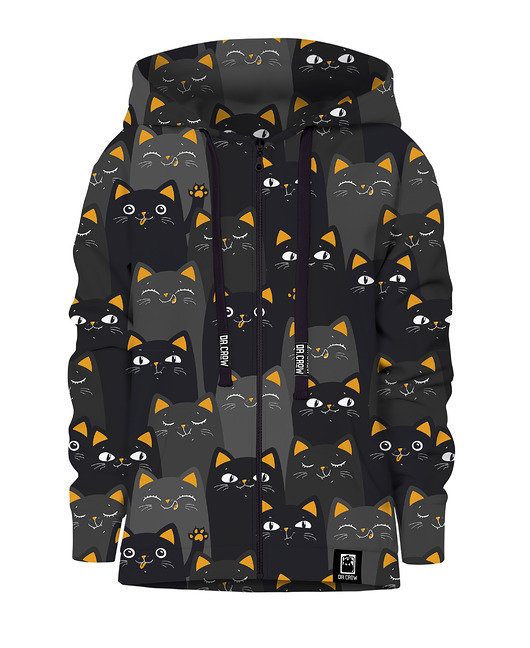 bluzy dla chłopców Bluza Zamek Chłopiec DR.CROW Cats Orange