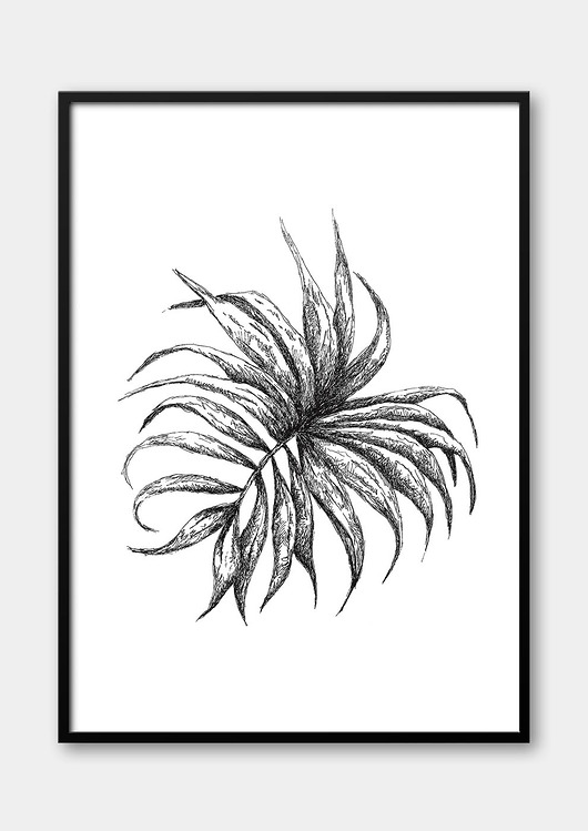 plakaty Plakat Botaniczny
