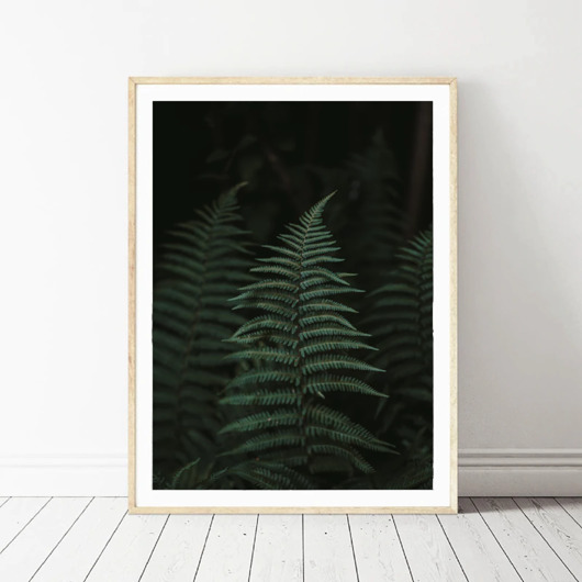 PLAKAT paproć z rośliną botaniczny foto black dot studio