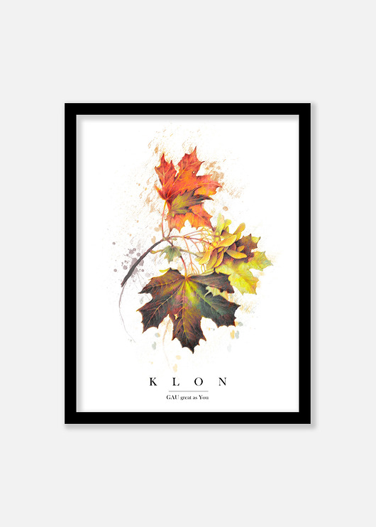 Klon Plakat GAU Home