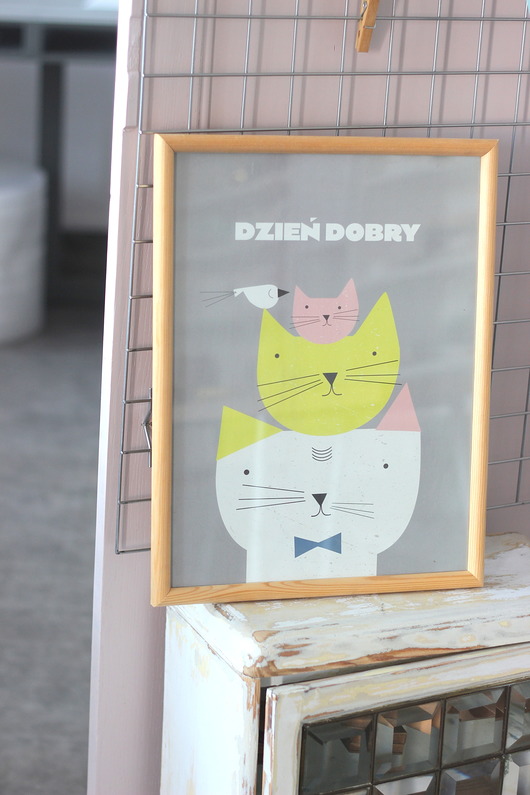 obrazy i plakaty do pokoju dziecięcego Plakat Koty 30x40