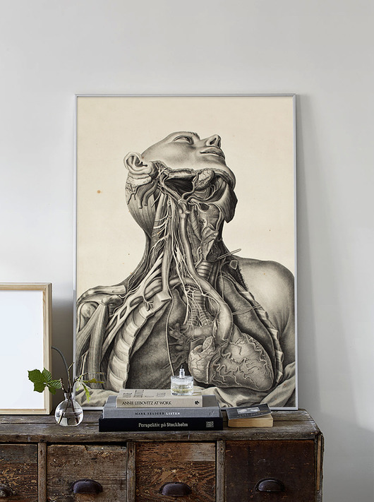 Plakat Anatomiczny - 50 x 70  Dekoracje PATKA Patrycja Kita