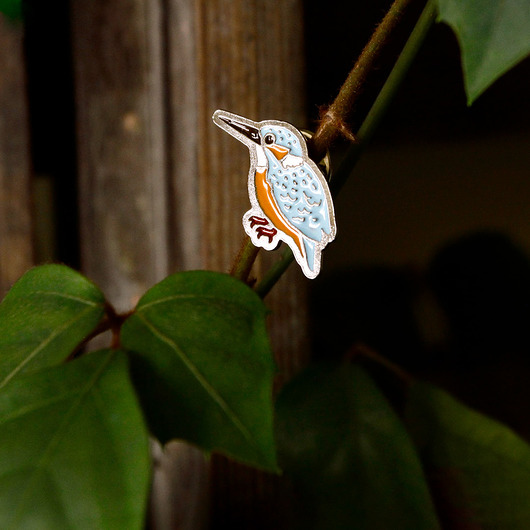 przypinki Pins "Zimorodek"