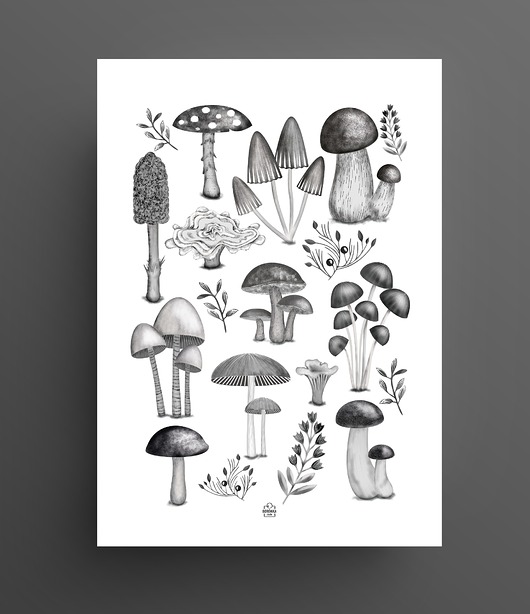 Plakat Grzyby Borówka Studio