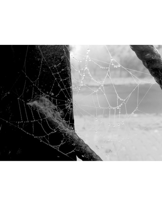 fotografia Fotografia pt.: 'Drop 4' czarno-biała, 50x70cm
