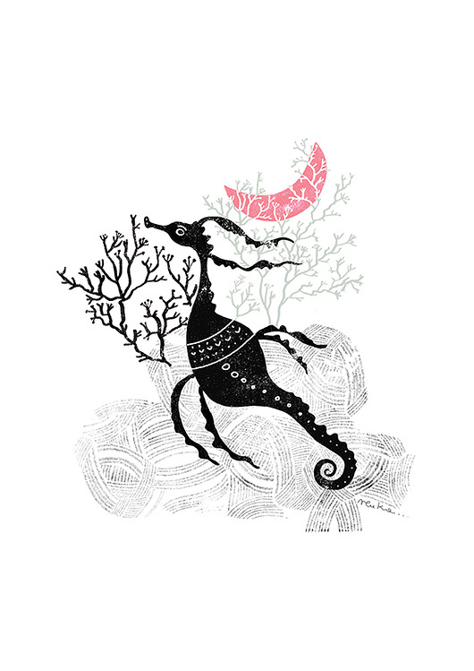 Grafika A3, Pławikonik Pokapaka