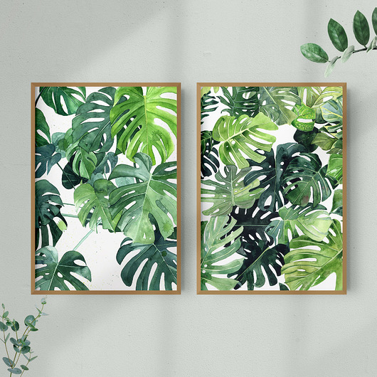 Monstery - zestaw 2 ilustracji botanicznych Aleksandra Stanglewicz