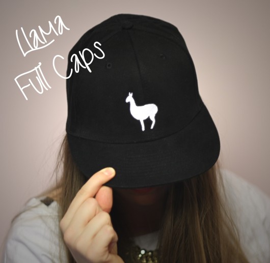 Full Cap Black Llama Charlie the Dodo