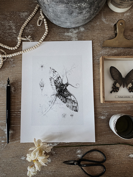 grafiki i ilustracje Motyl print 30x40 cm