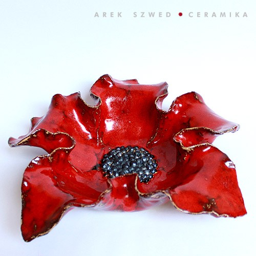 Czerwony Arek Szwed