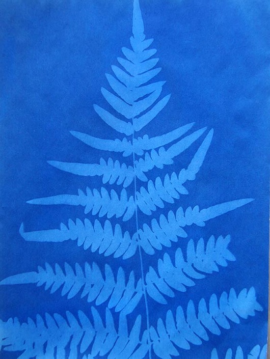 grafiki i ilustracje Natura w błękicie